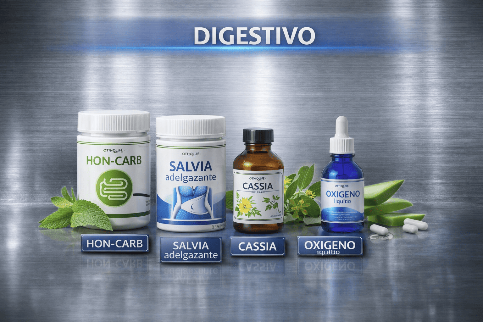 Productos Ortholife